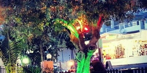 Pefkos Tourism: All You Need to Know Before You Go (2024)