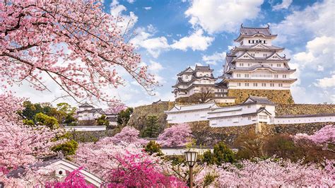 Japan Tourism 的图像结果