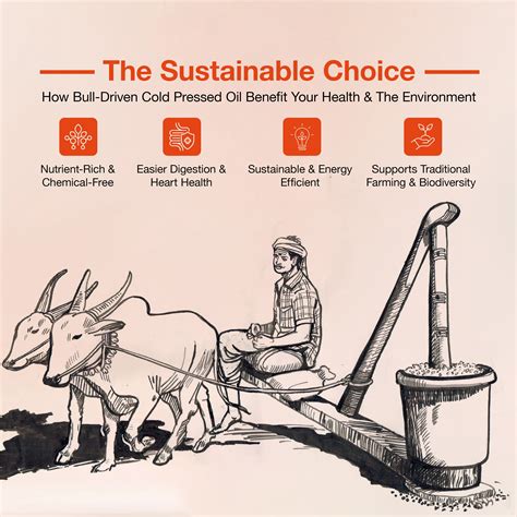 The Sustainable Choice: How Bull-Driven Cold Pressed Oils Benefit Your ...