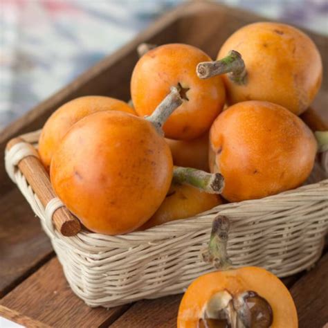 Nèfles du japon "Canamiel"  (ES)