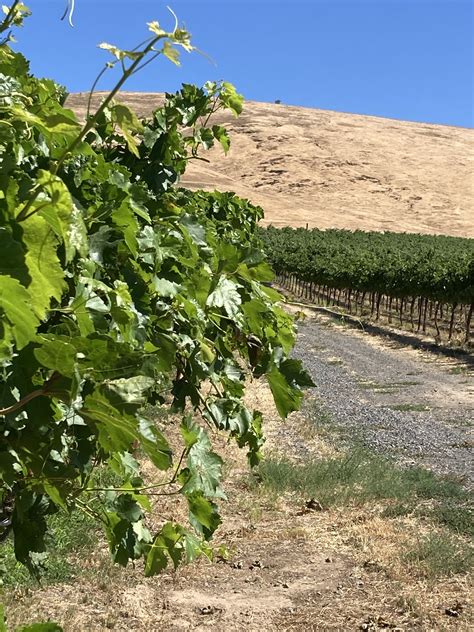 The Wine Write: A Conversation With Paul Zitarelli of Full Pull Wines