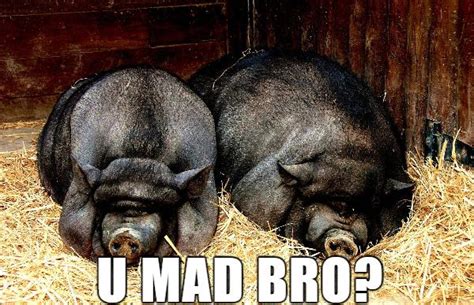 13 Sultry Scientific Sex Facts You Must Know About