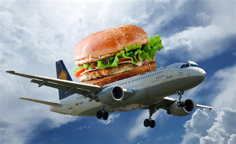Burger on a plane : r/burgeronaplane