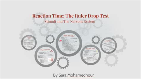 Image result for Ruler Drop Test Average