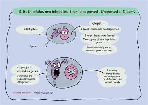 Genomic imprinting: Epigenetic Regulation - Creative Med Doses