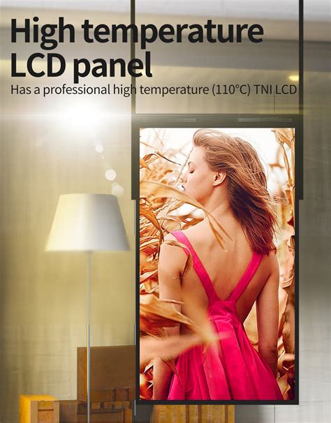 Digital Window Display 的图像结果