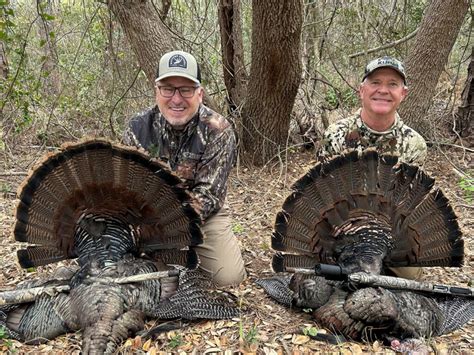 Wild Turkey Hunting In North Carolina at Skye Clarey blog