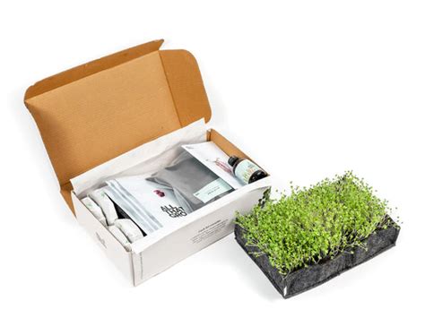 Microgreen Kit – AllThatGrows