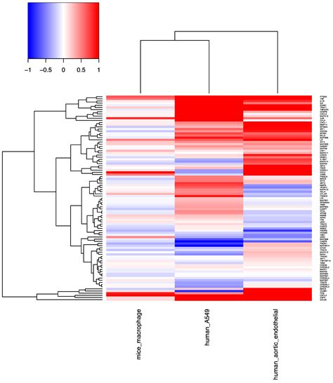 Signaling Pathways Regulated by Silica Nanoparticles