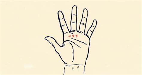 手型看命运：四种手型四种命，你是哪种就是什么命！|手型|手掌|掌纹_新浪新闻