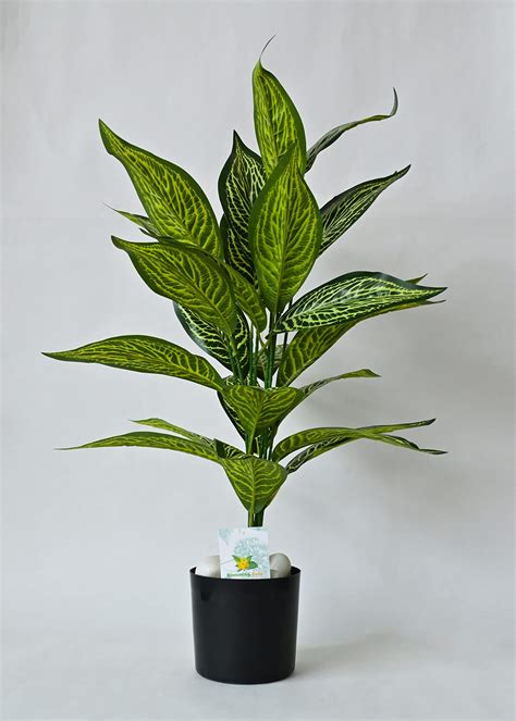 Buy Blooming Floret Polyester Artificial White Iceton Croton Plant|Big ...
