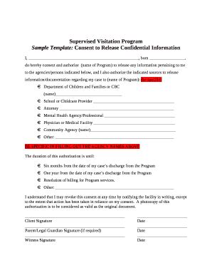 Supervised Visitation Program - familyvio csw fsu Doc Template | pdfFiller