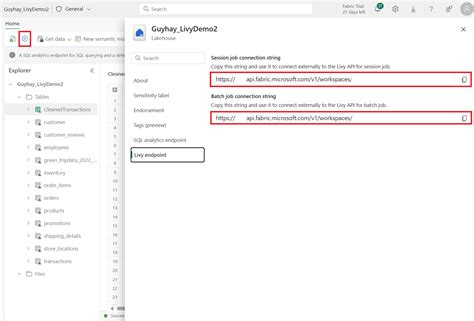 API Connection String 的图像结果