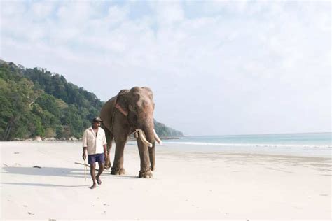 Beautiful photos of Andaman & Nicobar Islands | Times of India Travel