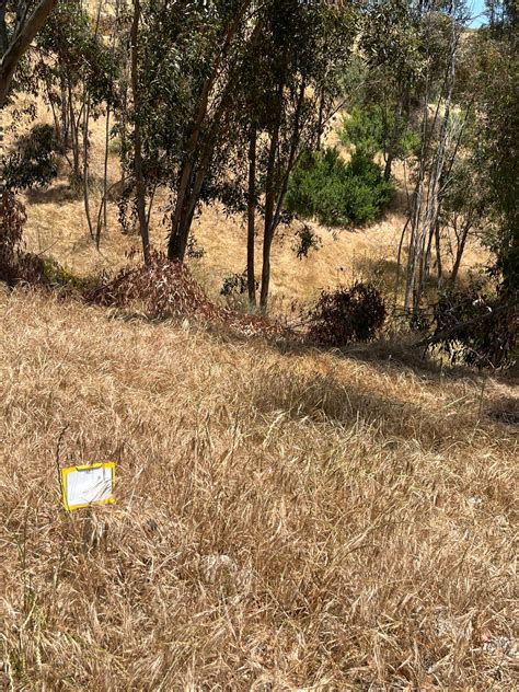 Otay lakes county park - Chula Vista, CA | UDisc Disc Golf Course Directory