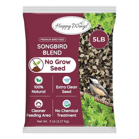 Can You Plant Safflower Bird Seed: Expert Tips for Thriving Gardens - Birds