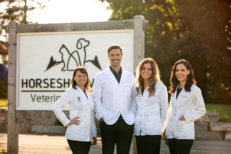 Team 1 — Horseshoe Valley Veterinary Hospital