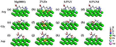 Interaction Regularity of Biomolecules on Mg and Mg-Based Alloy ...