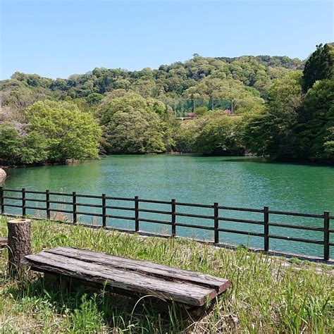 MIYAKUBO STONE CULTURE ATHLETIC PARK (2026) All You Need to Know BEFORE ...