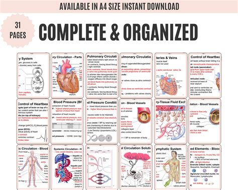 Image result for Cardiovascular System and Function Notes