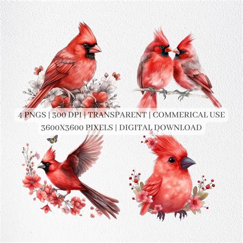 Red Cardinal Clip Art