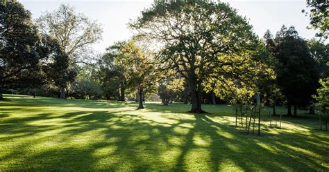 Walk & Talk Auckland Domain: Conversations that Matter, Band Rotunda ...