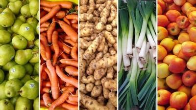 Better Food with Better Management – Cold Chain and its Benefits for ...