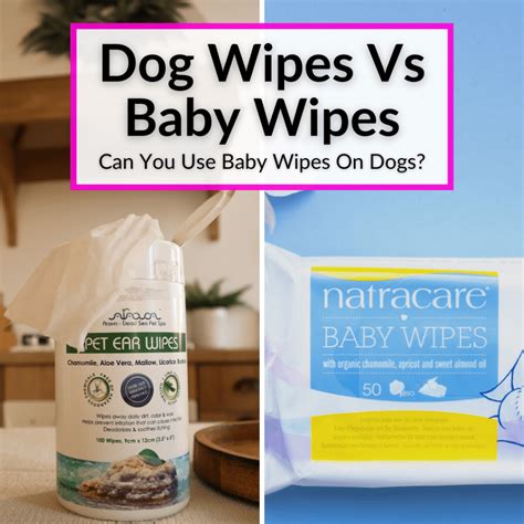 Baby Wipes For A Dog at Dan Showers blog