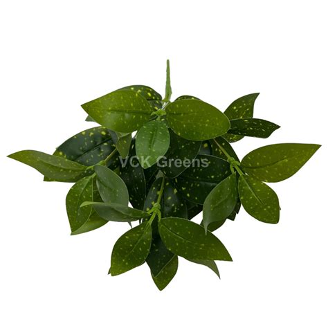 Artificial Aucuba Leaf Bunch 33cm (Pack of 3pc) – VCK Greens