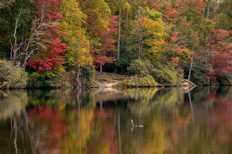 North Carolina Fall Scenery Fall Leaves In North Carolina Still