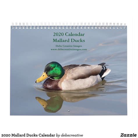 Duck's Nightlife Calendar - Printable Word Searches