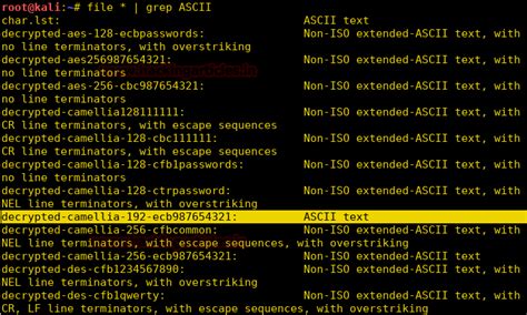 Hack the Cyberry: 1 VM( Boot2Root Challenge) - Hacking Articles