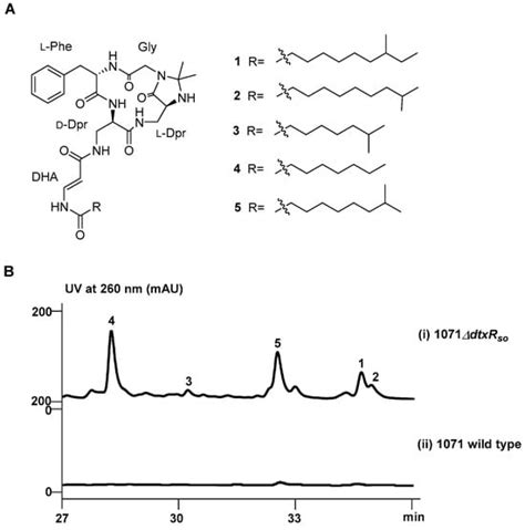 The Discovery of Cyclic Lipopeptide Olenamidonins in a Deepsea-Derived ...
