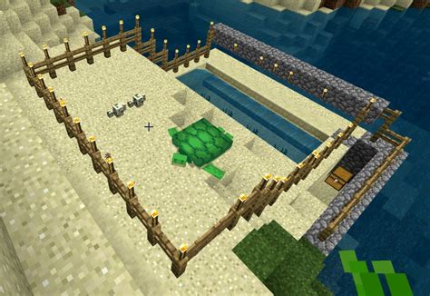 Turtle Farm Minecraft Tutorial 的图像结果