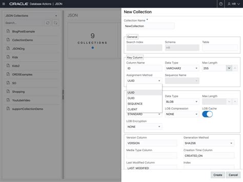 Image result for JSON File SQL Developer Workflow