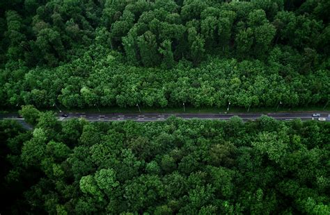 Eye View 的图像结果