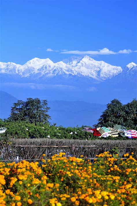 Elevation map of Darjeeling, West Bengal, India - Topographic Map - Altitude Map