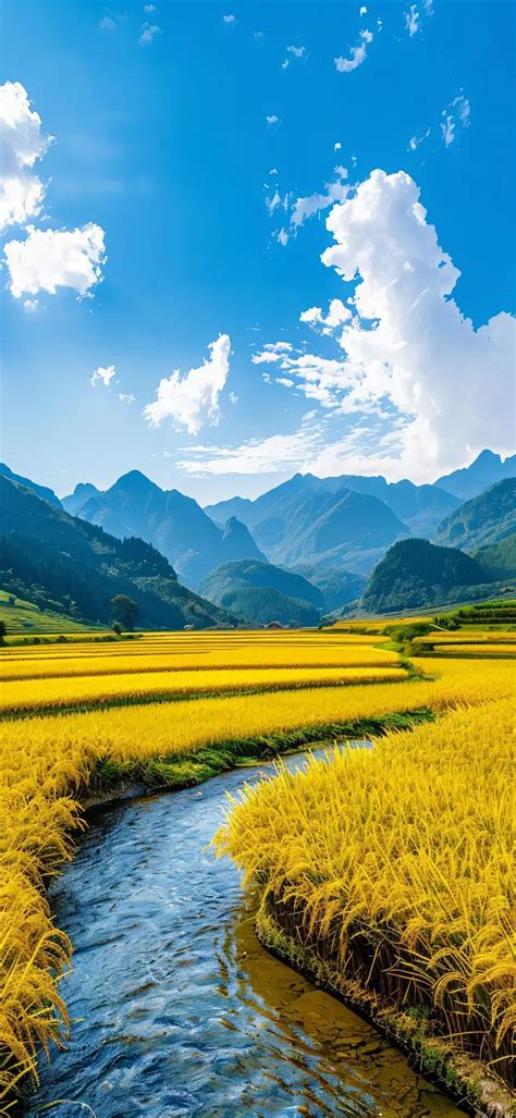 乡村壁纸 的图像结果