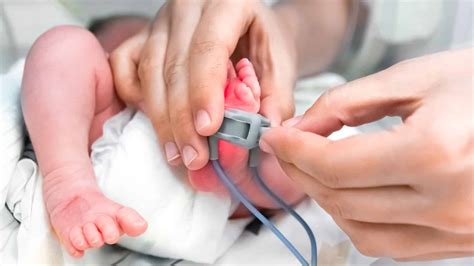 Image result for Neonatal Resuscitation Algorithm 2024