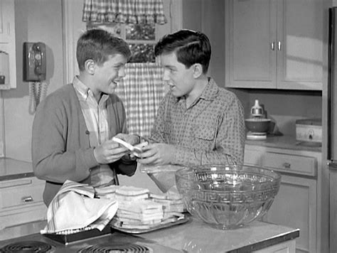 The Twelve Best LEAVE IT TO BEAVER Episodes of Seasons Five & Six ...