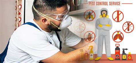 pcspest.in | PCS Pest Control India Services | Termite, Cockroach ...