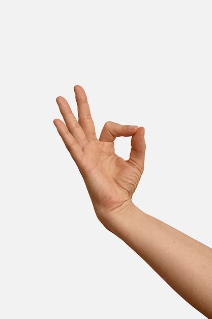 First Sign Language 的图像结果