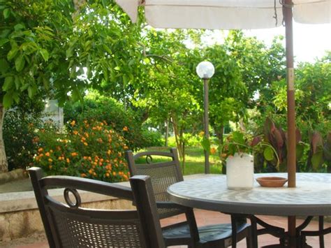 PROCIDATOUR (Procida) - Inn Reviews & Photos - Tripadvisor