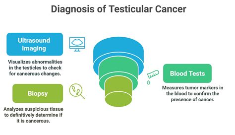 Testicular Cancer: What Every Man Should Know