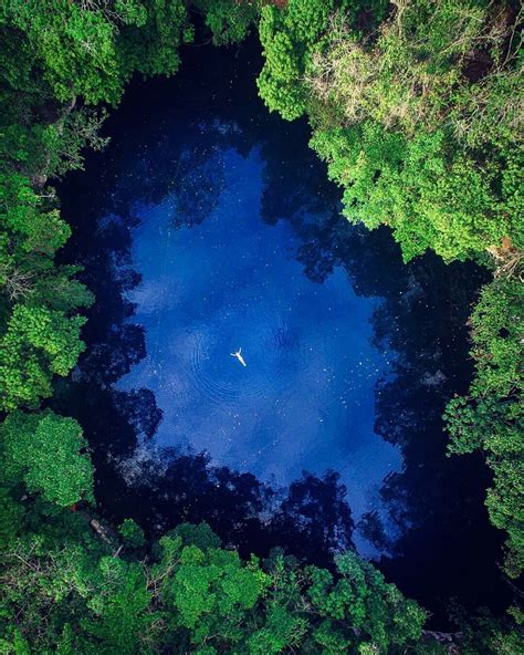 art photography nature