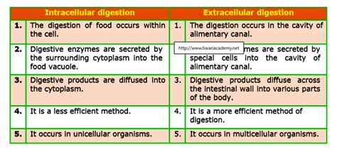 Distinguish between intracellular and extracellular digestion?