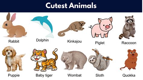 Cute Animals: List of Cutest Animals in The World - GrammarVocab