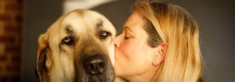 The Science Behind Why We Choose Dogs That Look and Act Like Us – Loose Leashes by Ron Schmidt