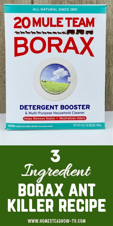 Conquer Ants: Borax Ant Killer Recipe Outside