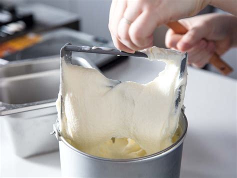 Best ice cream churner online